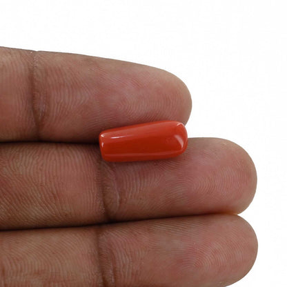Red Coral (Moonga) - 5.26 Carat