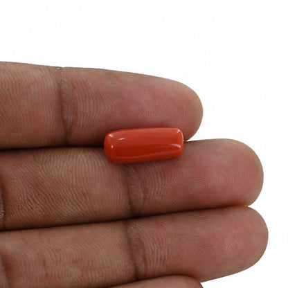 Red Coral (Moonga) - 5.26 Carat