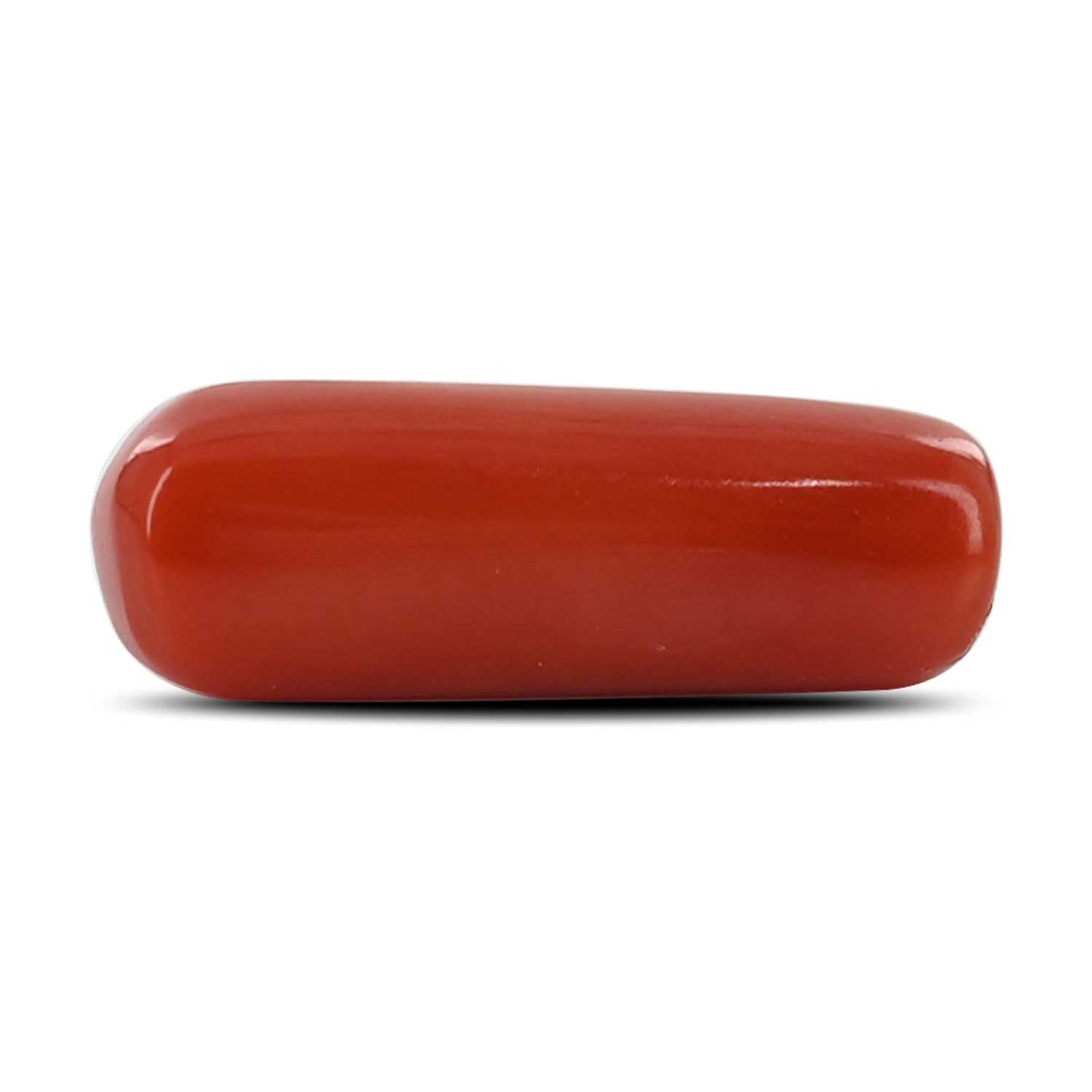Red Coral (Moonga) - 4.75 Carat