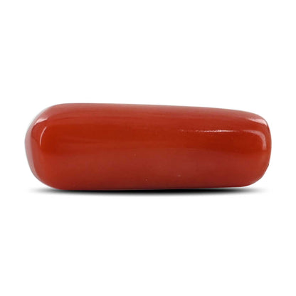 Red Coral (Moonga) - 4.75 Carat