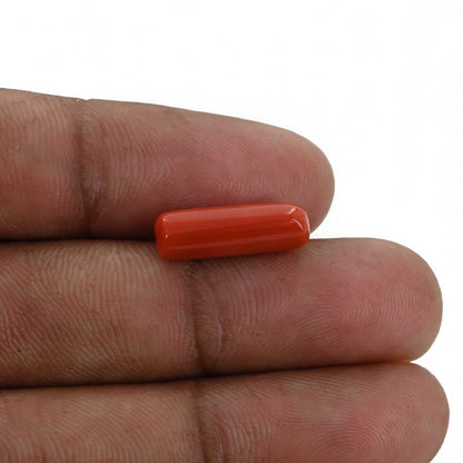 Red Coral (Moonga) - 4.75 Carat