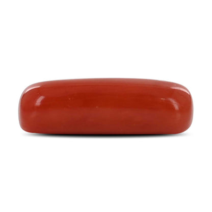 Red Coral (Moonga) - 4.52 Carat
