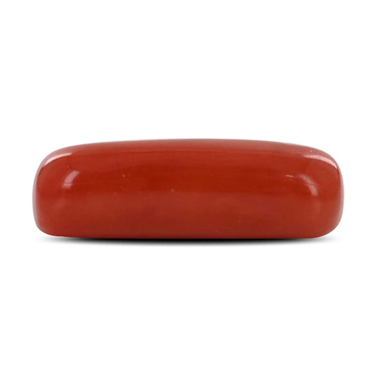 Red Coral (Moonga) - 4.52 Carat