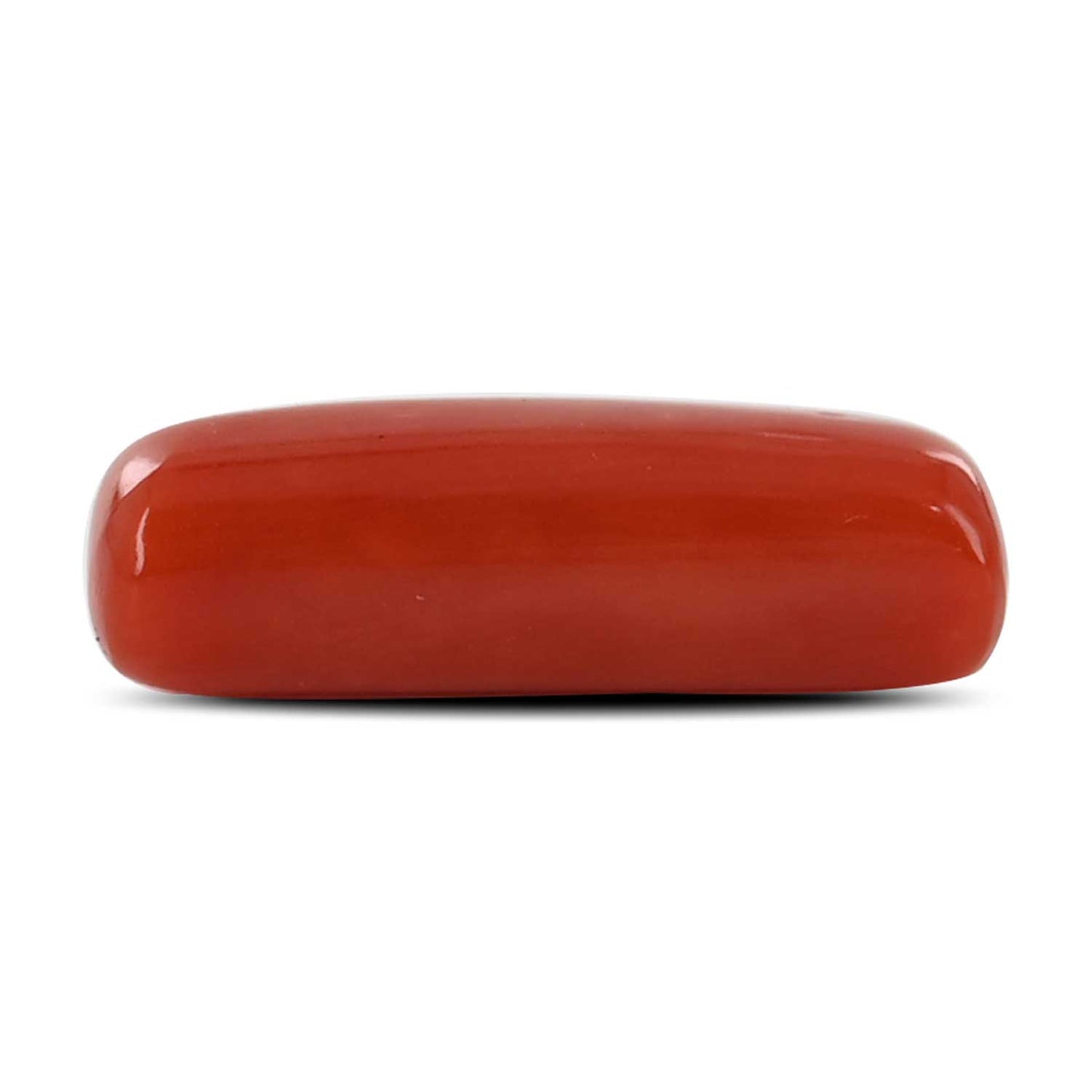 Red Coral (Moonga) - 4.52 Carat