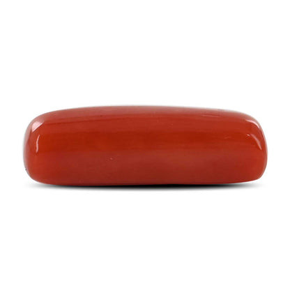 Red Coral (Moonga) - 4.52 Carat