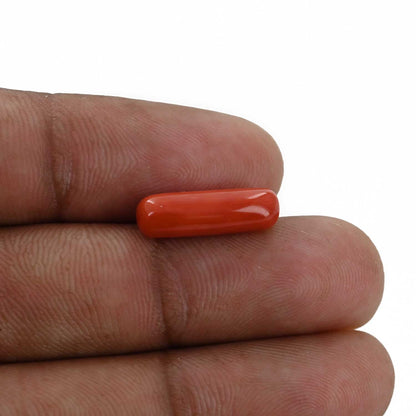 Red Coral (Moonga) - 4.52 Carat