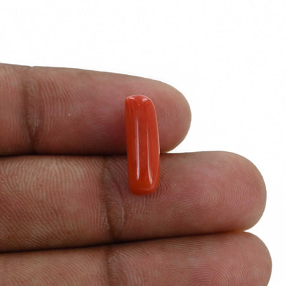 Red Coral (Moonga) - 4.52 Carat