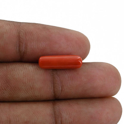 Red Coral (Moonga) - 4.52 Carat