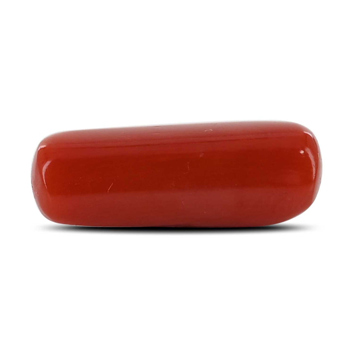 Red Coral (Moonga) - 5.31 Carat