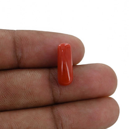 Red Coral (Moonga) - 5.31 Carat