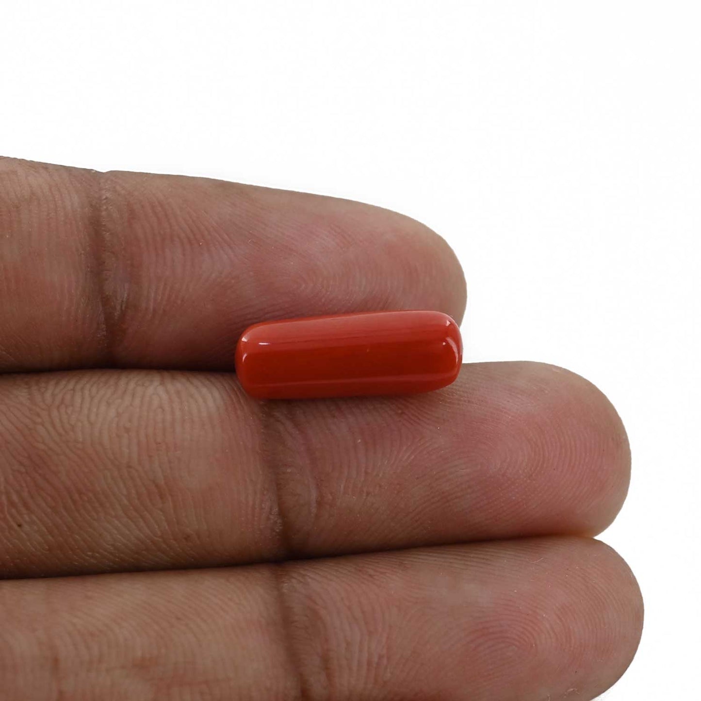 Red Coral (Moonga) - 5.31 Carat