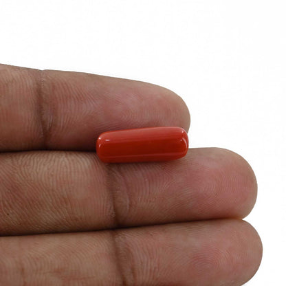 Red Coral (Moonga) - 5.31 Carat