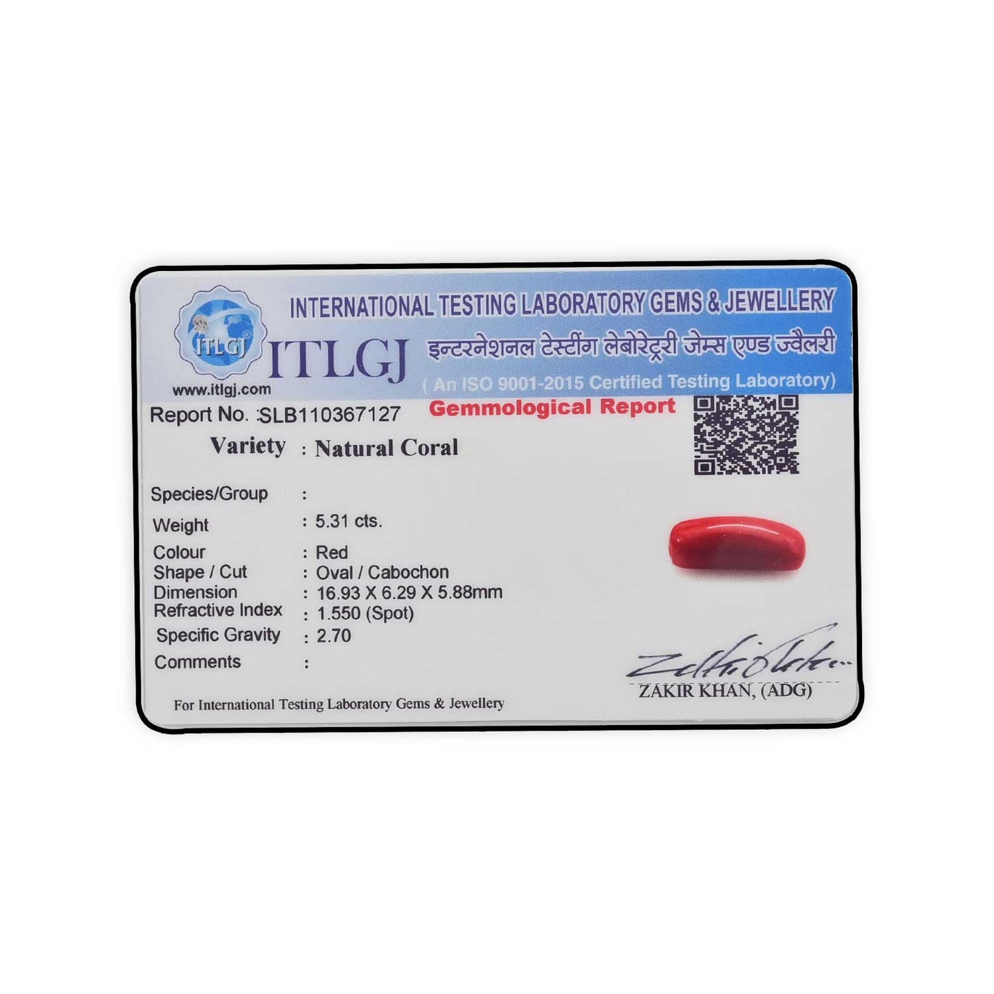 Red Coral (Moonga) - 5.31 Carat