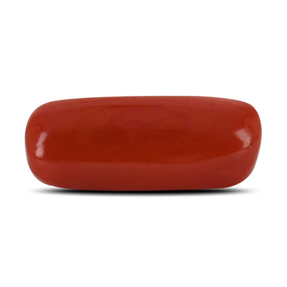 Red Coral (Moonga) - 4.98 Carat