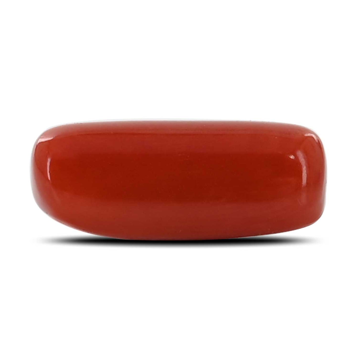Red Coral (Moonga) - 4.98 Carat