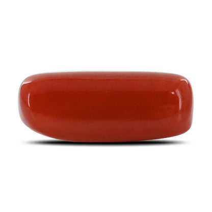Red Coral (Moonga) - 4.98 Carat