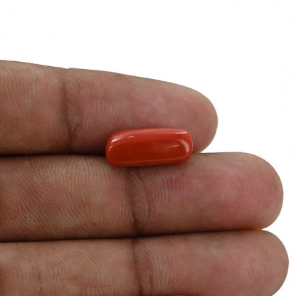 Red Coral (Moonga) - 4.98 Carat