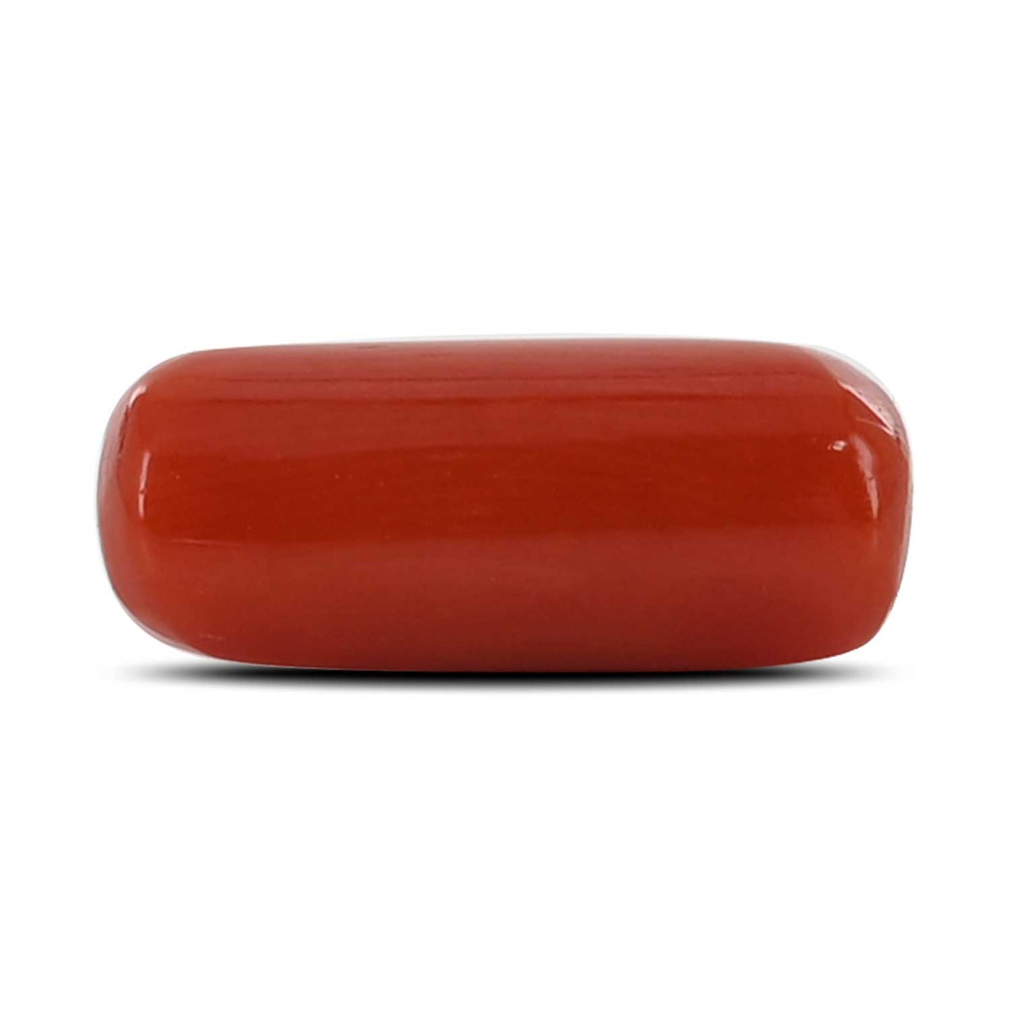 Red Coral (Moonga) - 4.5 Carat
