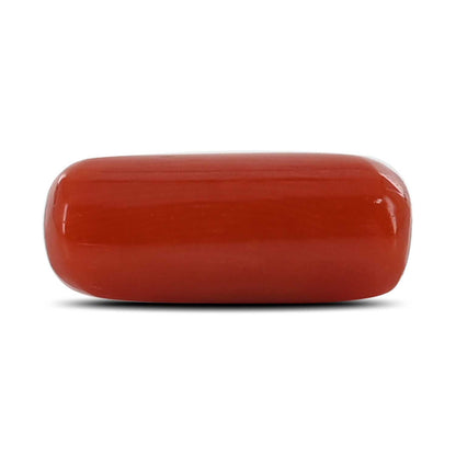 Red Coral (Moonga) - 4.5 Carat