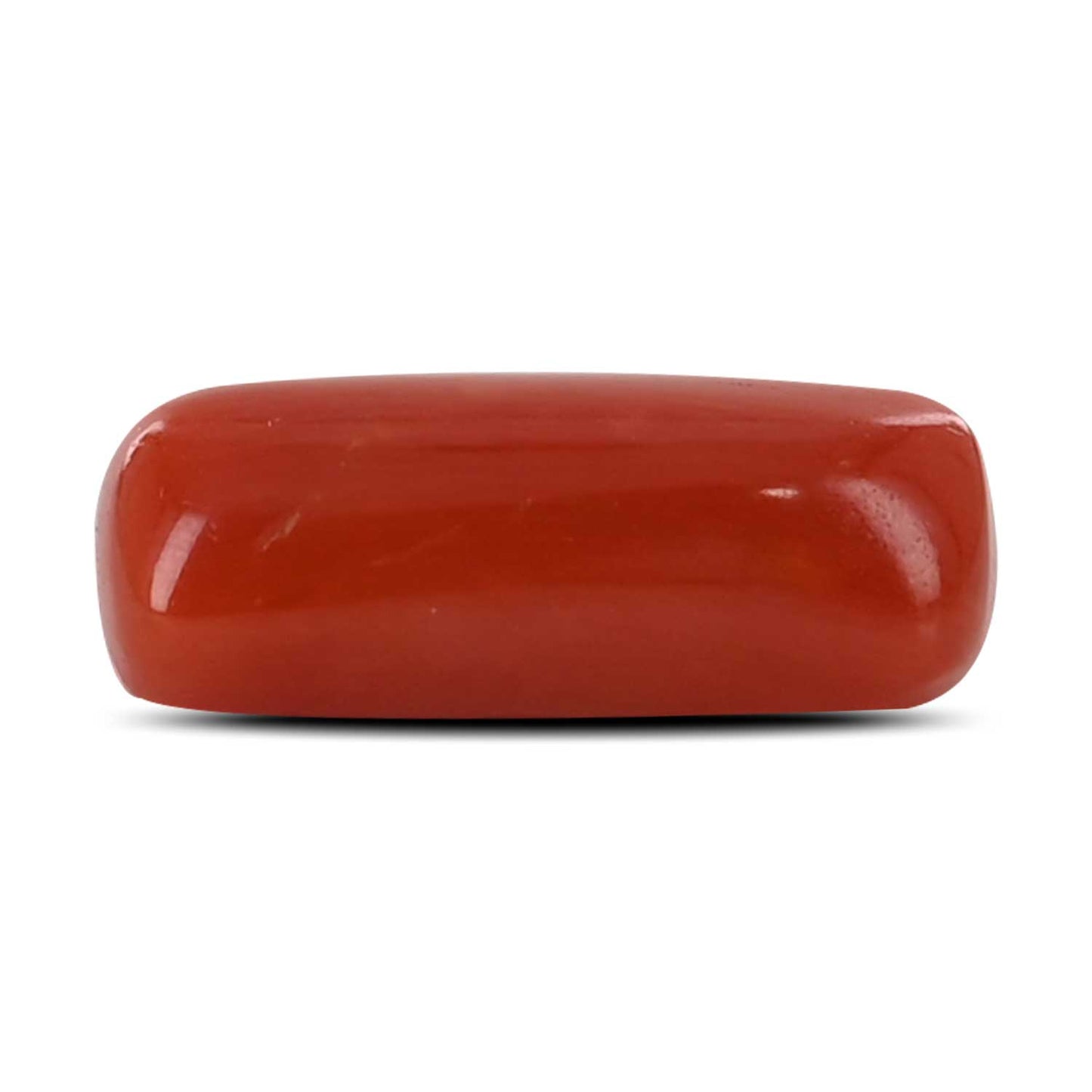 Red Coral (Moonga) - 4.5 Carat