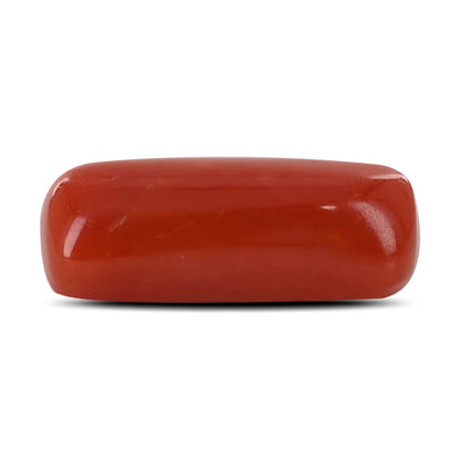 Red Coral (Moonga) - 4.5 Carat