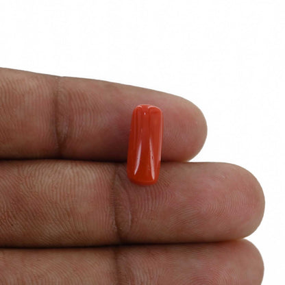 Red Coral (Moonga) - 4.5 Carat