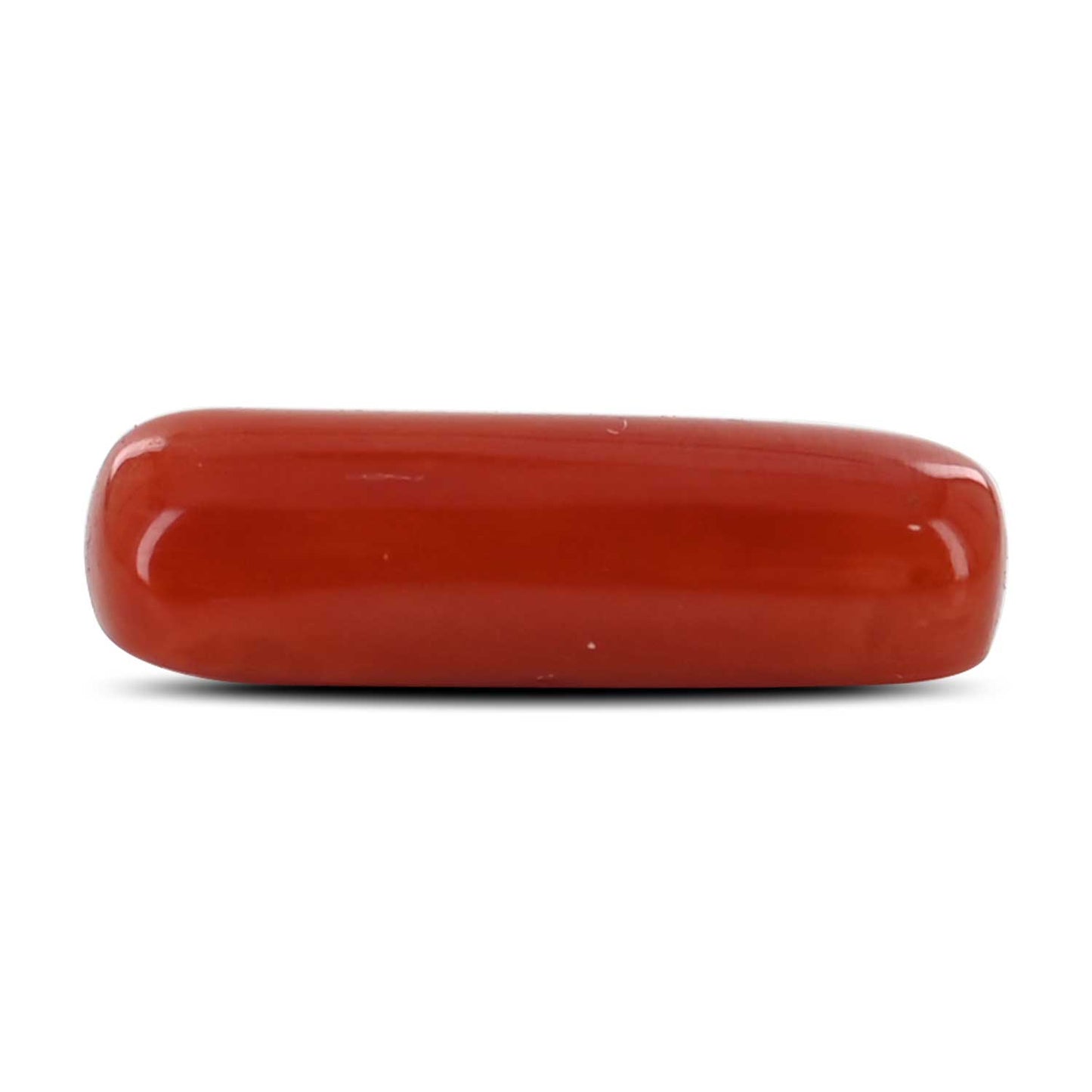 Red Coral (Moonga) - 4.6 Carat