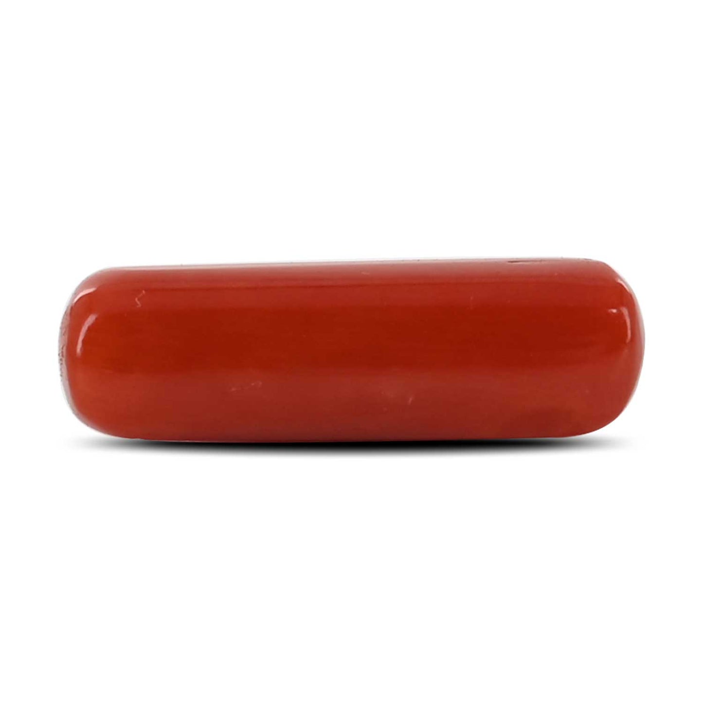 Red Coral (Moonga) - 4.6 Carat