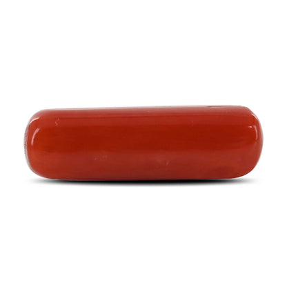 Red Coral (Moonga) - 4.6 Carat