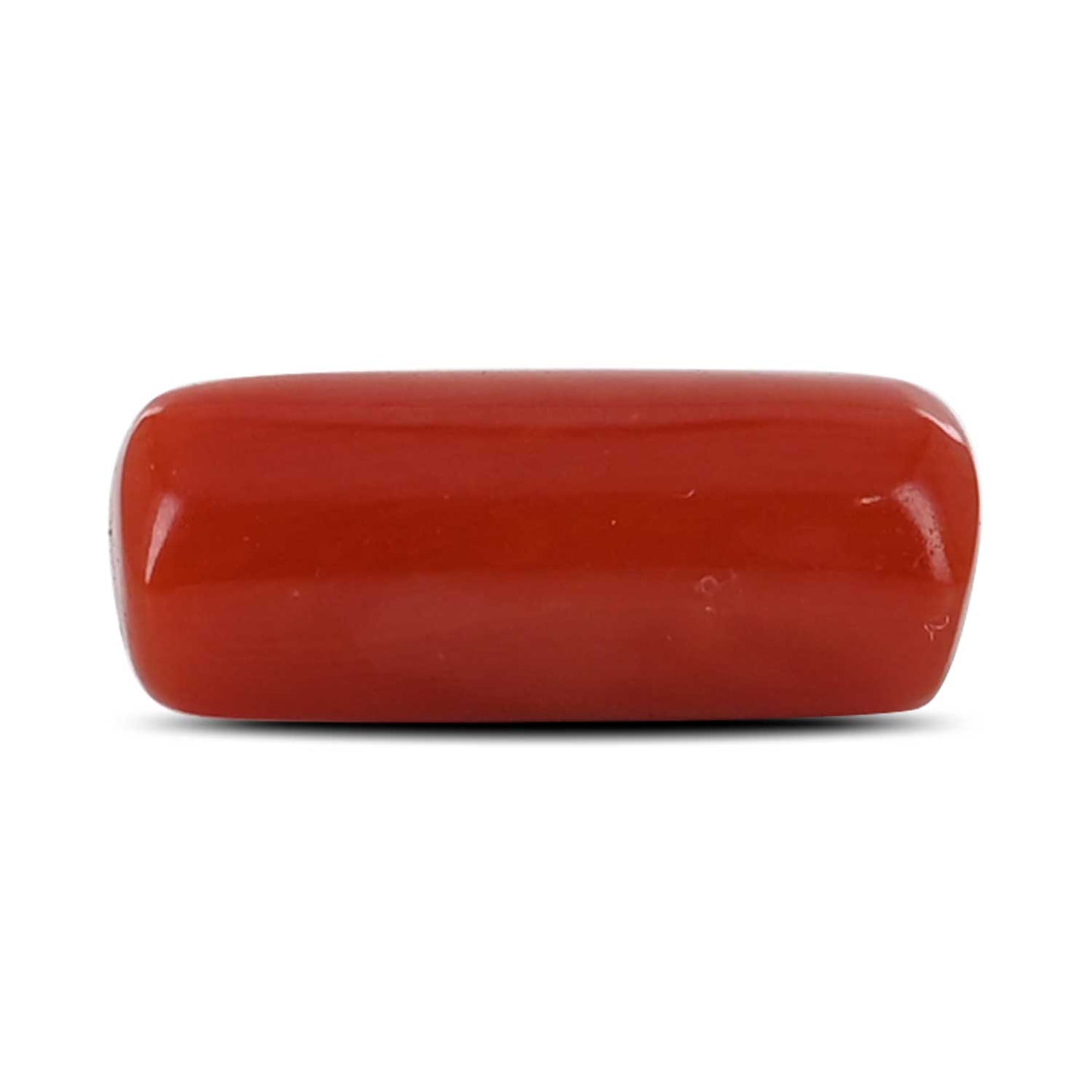 Red Coral (Moonga) - 4.93 Carat