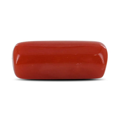 Red Coral (Moonga) - 4.93 Carat