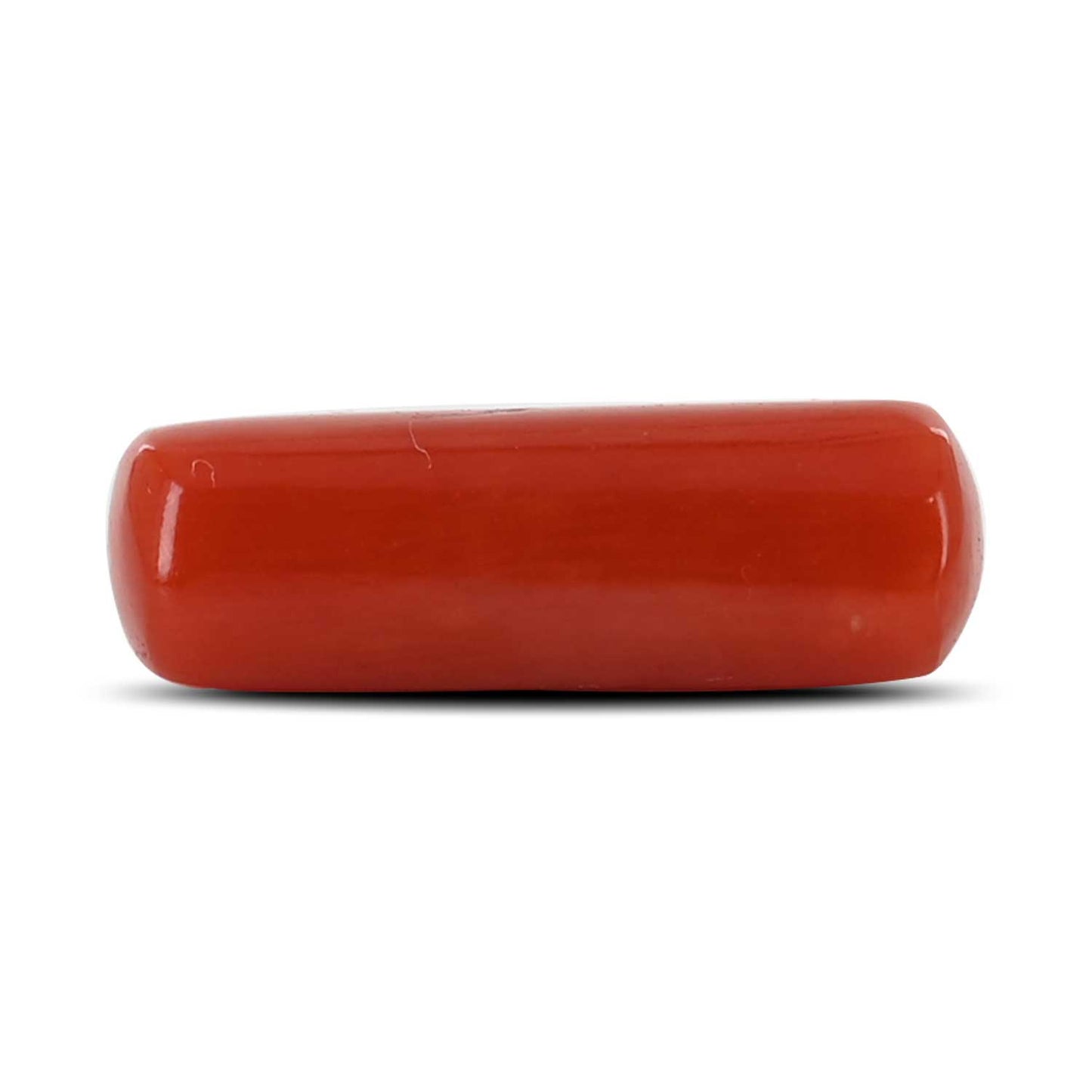 Red Coral (Moonga) - 4.59 Carat