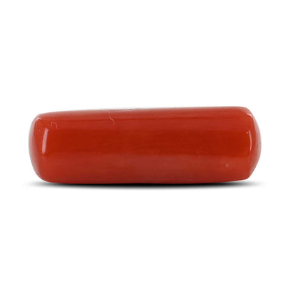 Red Coral (Moonga) - 4.59 Carat