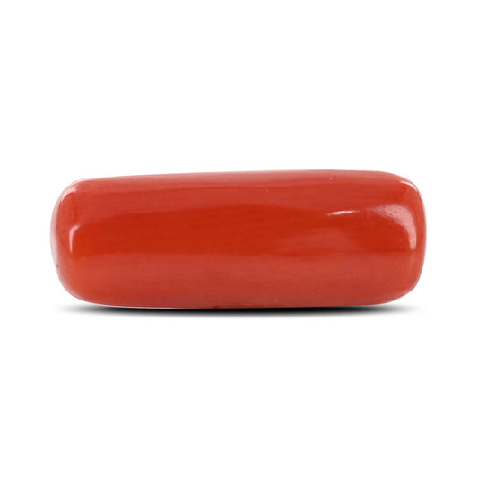 Red Coral (Moonga) - 6.23 Carat