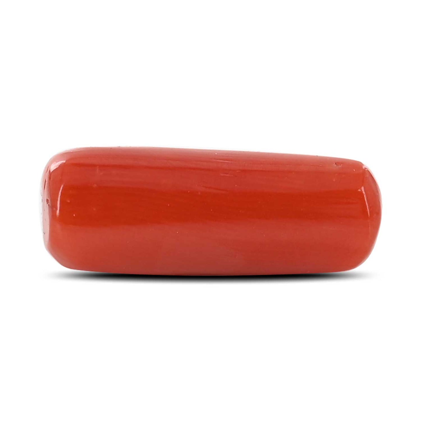 Red Coral (Moonga) - 6.23 Carat