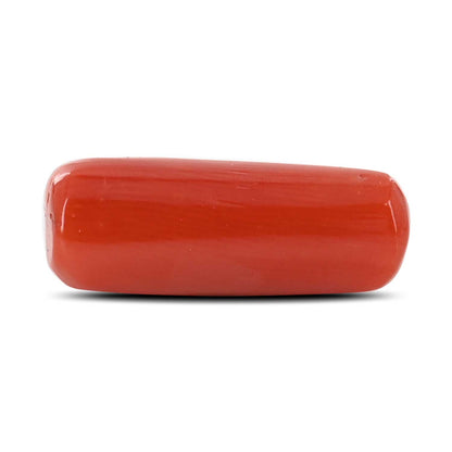 Red Coral (Moonga) - 6.23 Carat