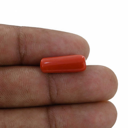 Red Coral (Moonga) - 6.23 Carat