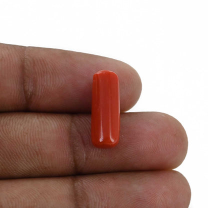 Red Coral (Moonga) - 6.23 Carat