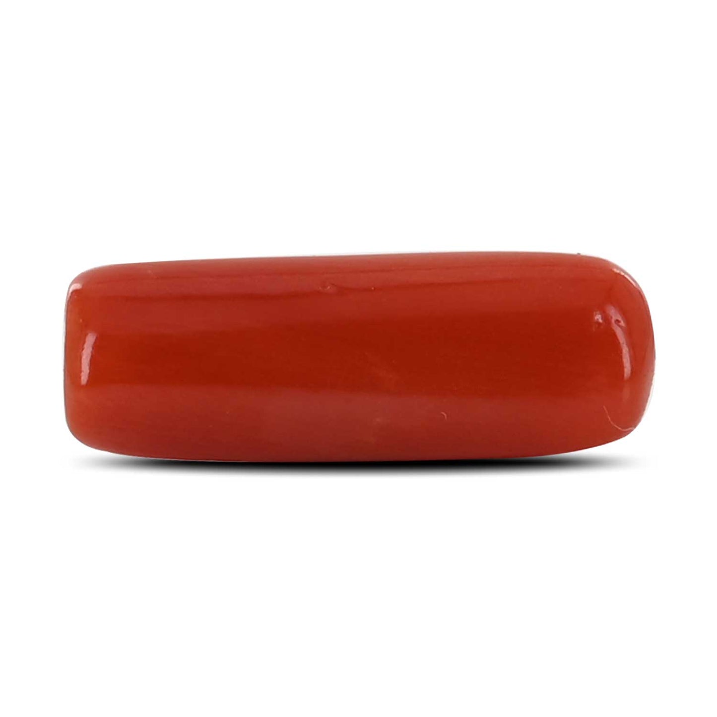 Red Coral (Moonga) - 5.12 Carat