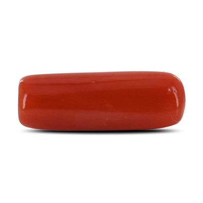 Red Coral (Moonga) - 5.12 Carat