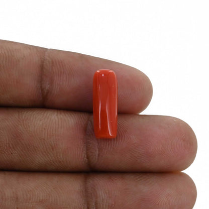 Red Coral (Moonga) - 5.12 Carat