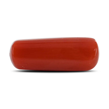 Red Coral (Moonga) - 5.76 Carat