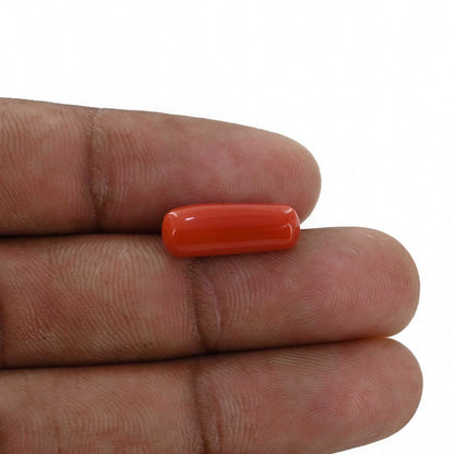 Red Coral (Moonga) - 5.76 Carat