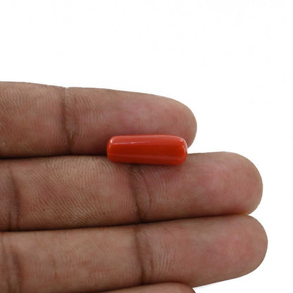 Red Coral (Moonga) - 5.76 Carat