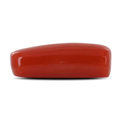 Red Coral (Moonga) - 4.8 Carat