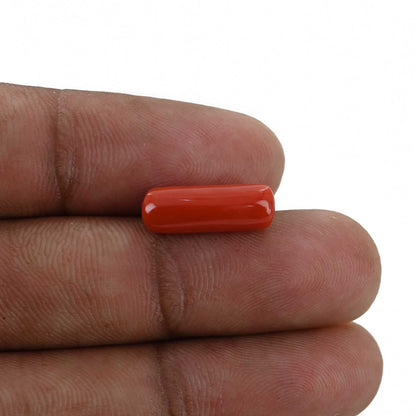 Red Coral (Moonga) - 4.8 Carat
