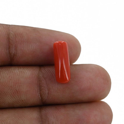 Red Coral (Moonga) - 4.8 Carat