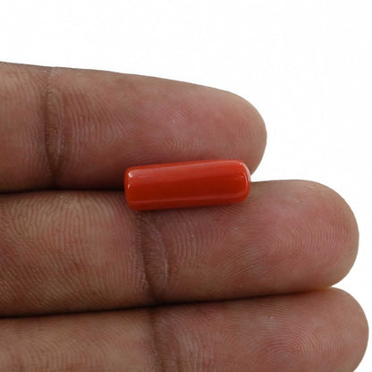 Red Coral (Moonga) - 4.8 Carat