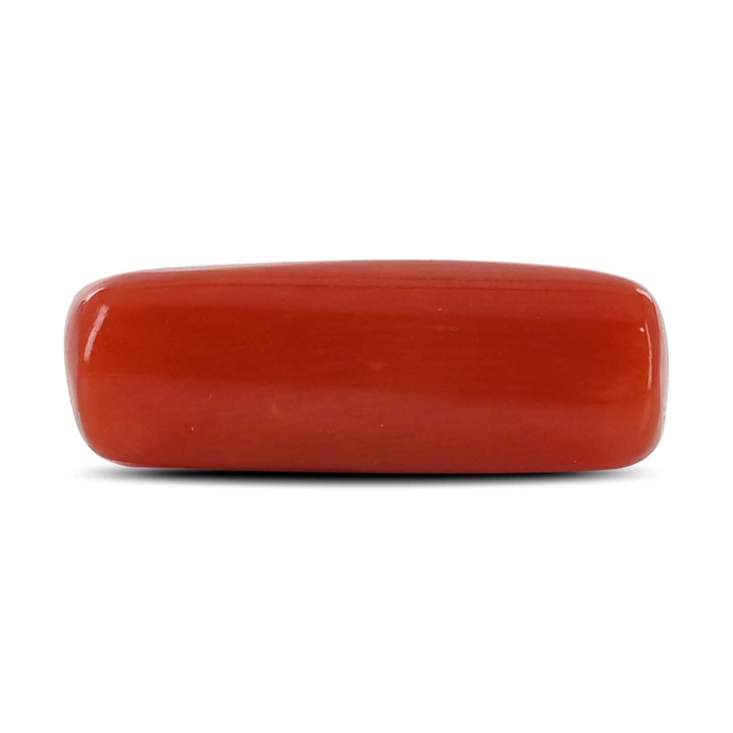 Red Coral (Moonga) - 5.24 Carat