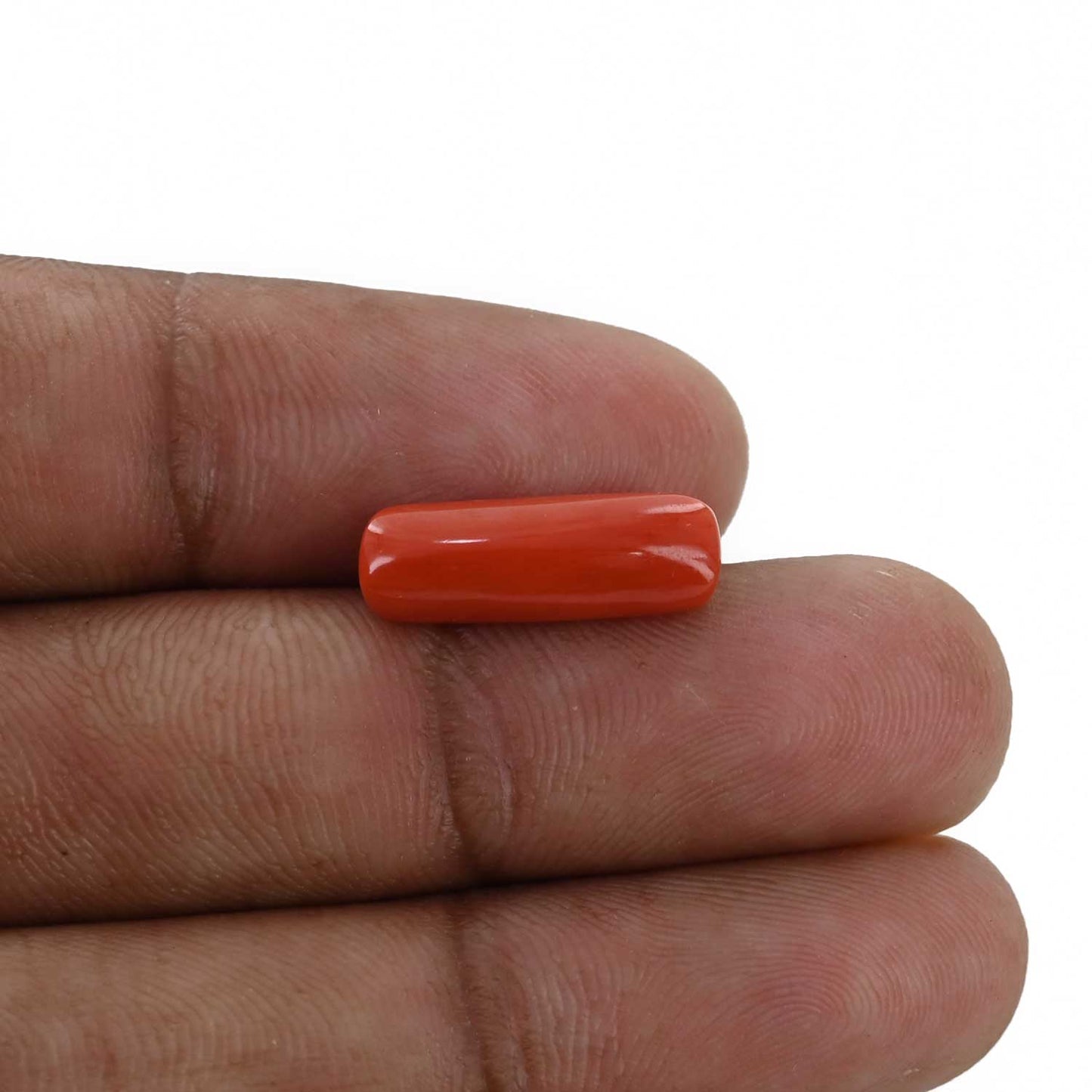 Red Coral (Moonga) - 5.24 Carat